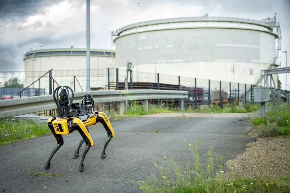 Gelber vierbeiniger Roboter mit schwarzem Kopf und Antennen auf Asphaltweg vor großen runden Industriebehältern.
