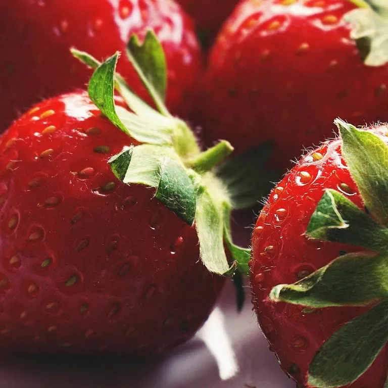 Erdbeeren gehören zu den Produkten, die in den Gewächshäusern von SymBiotic Green Technologies angebaut werden können.
