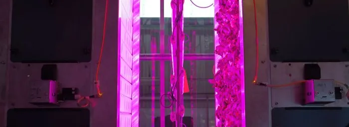Vertikale technische Anlage mit leuchtend pinkem Licht in der Mitte und schwarzen rechteckigen Elementen an den Seiten