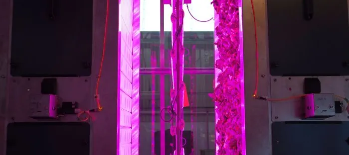 Vertikale technische Anlage mit leuchtend pinkem Licht in der Mitte und schwarzen rechteckigen Elementen an den Seiten