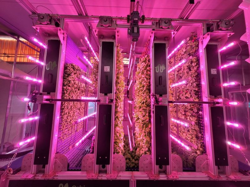 Vertical Farming-Anlage von SymBiotic Green Technologies